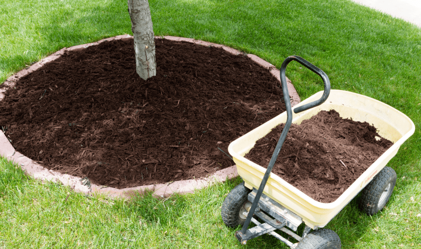 Country Mowing & More