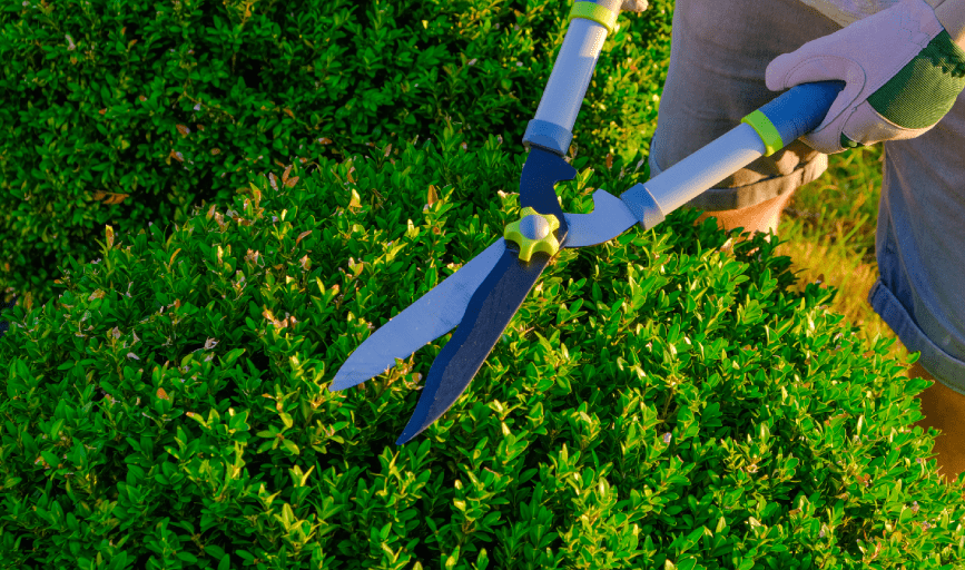 Country Mowing & More